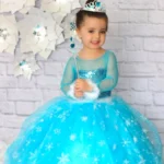 Elsa Prenses Kostümü ve Aksesuar Seti