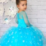 Elsa Prenses Kostümü ve Aksesuar Seti